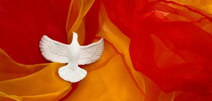 Website Carnaval (1)