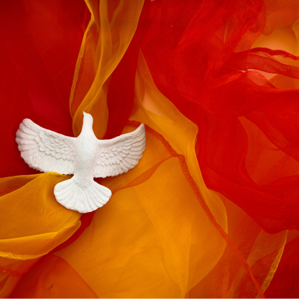 Website Carnaval (1)